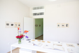 Franziska von Stenglin