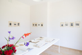 Franziska von Stenglin