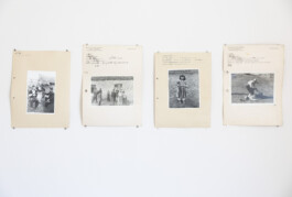 Franziska von Stenglin