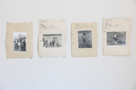 Franziska von Stenglin