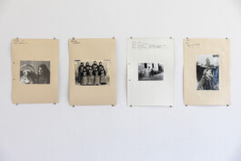 Franziska von Stenglin