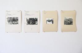 Franziska von Stenglin