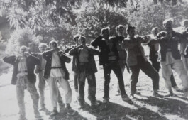 Franziska von Stenglin