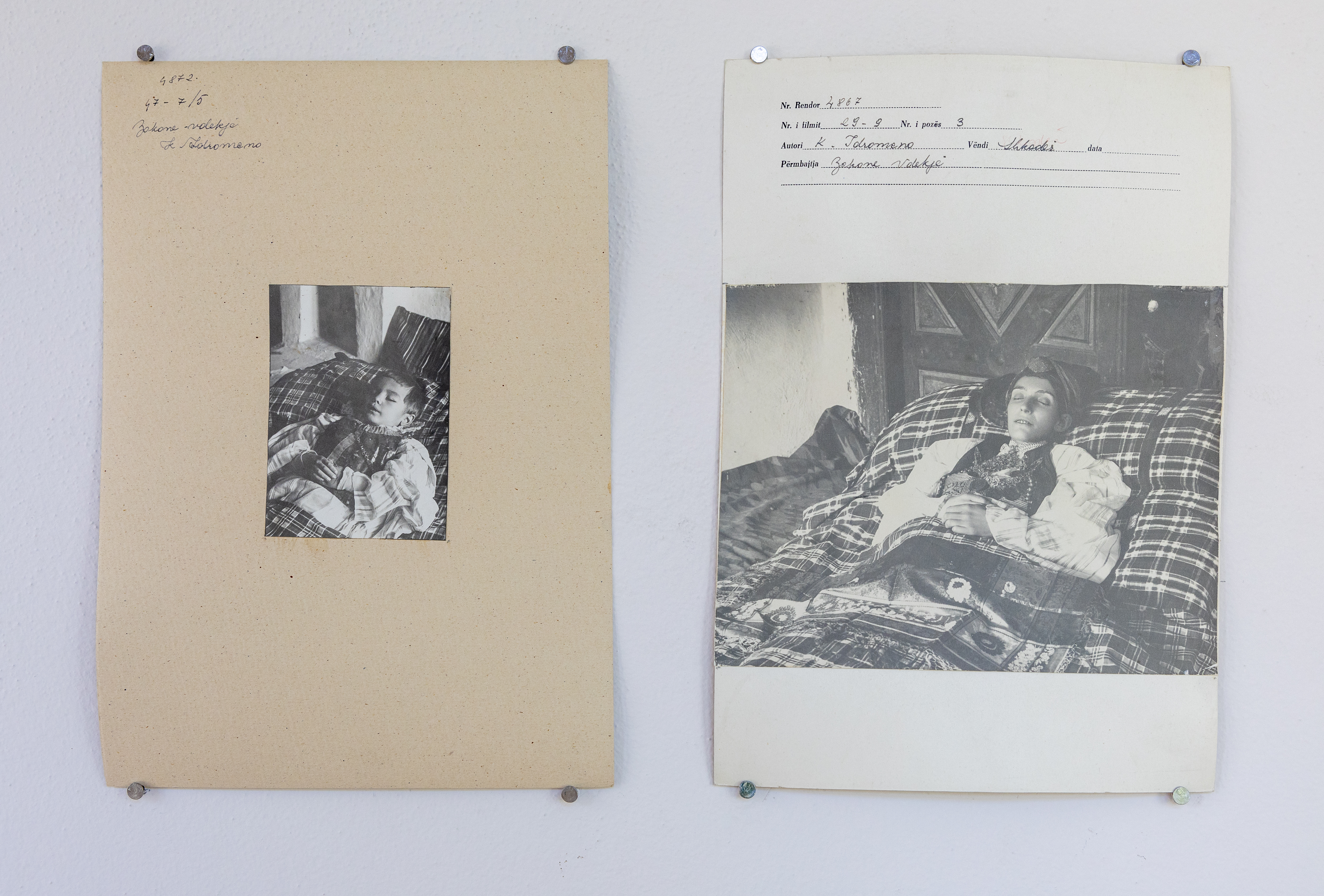 Franziska von Stenglin