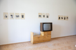 Franziska von Stenglin