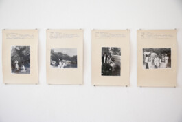 Franziska von Stenglin