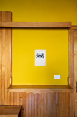 Franziska von Stenglin