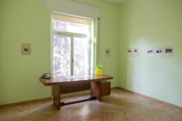 Franziska von Stenglin