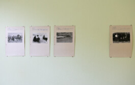 Franziska von Stenglin