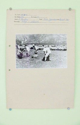 Franziska von Stenglin