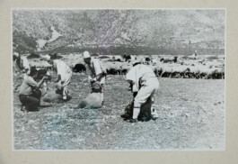 Franziska von Stenglin