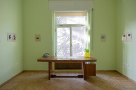 Franziska von Stenglin