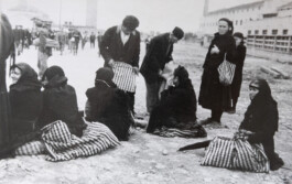 Franziska von Stenglin