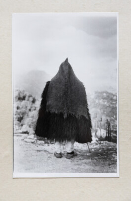 Franziska von Stenglin