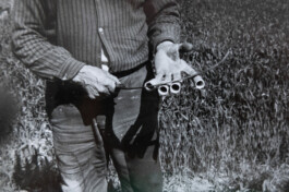 Franziska von Stenglin