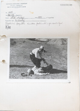 Franziska von Stenglin