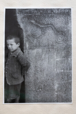 Franziska von Stenglin