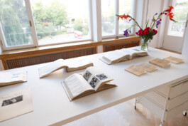 Franziska von Stenglin