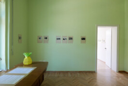 Franziska von Stenglin