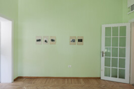 Franziska von Stenglin