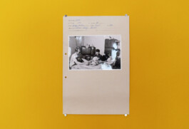 Franziska von Stenglin