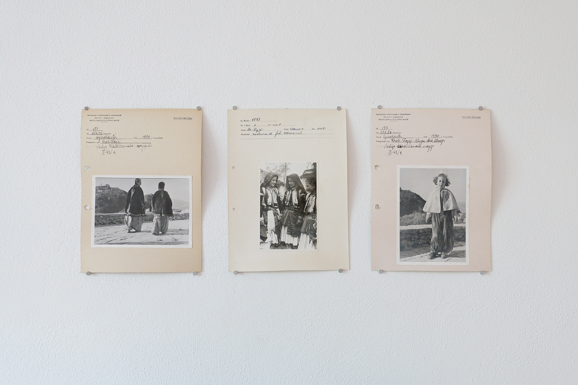 Franziska von Stenglin