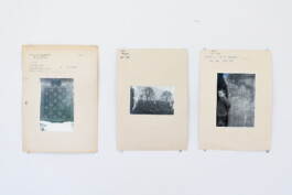 Franziska von Stenglin