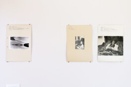 Franziska von Stenglin