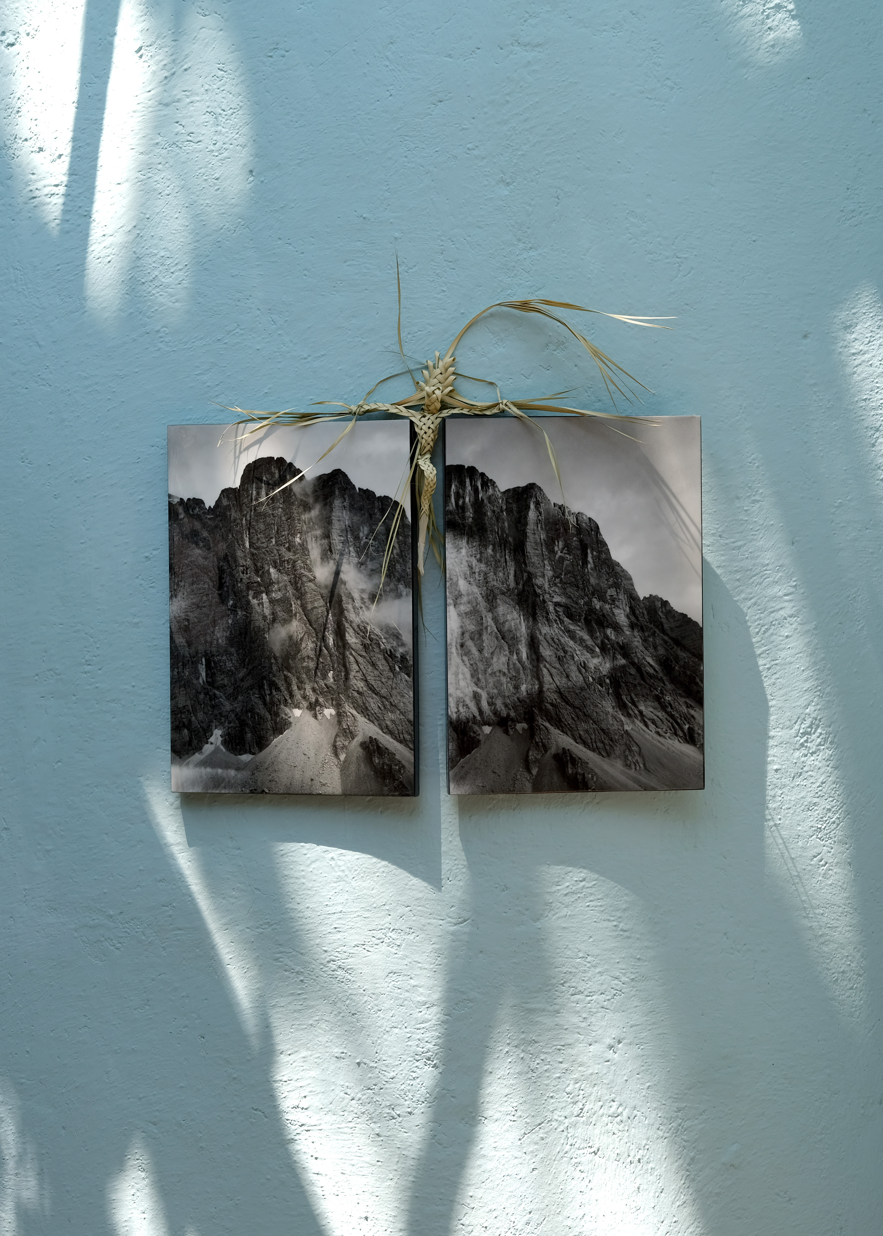 Franziska von Stenglin