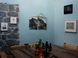 Franziska von Stenglin