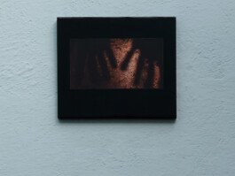 Franziska von Stenglin