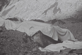 Franziska von Stenglin