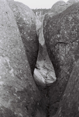 Franziska von Stenglin